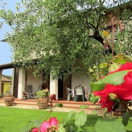 Casa Vacanze Lulu Camaiore Exterior foto