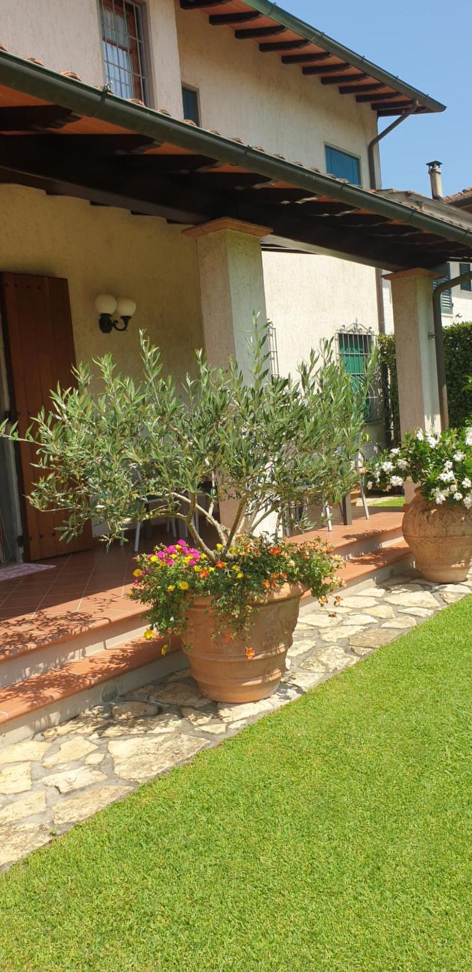 Casa Vacanze Lulu Camaiore Exterior foto